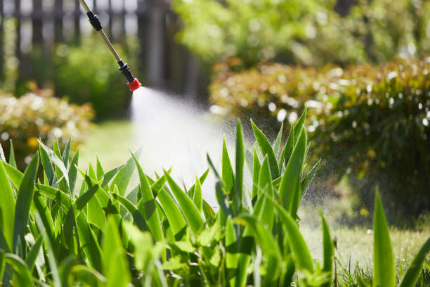 Tamper-Resistant Bait Stations for Rodents in Bostonia