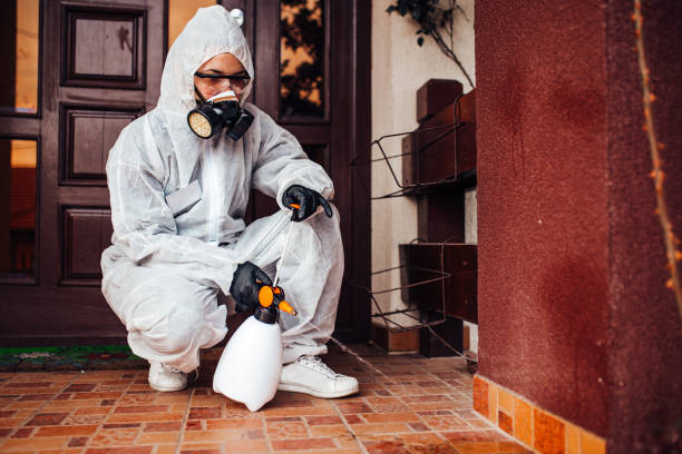 Attic and Crawl Space Rodent Treatment in Bostonia